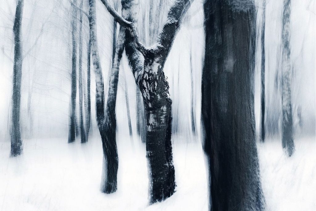 Myteriöser Wald mit Schnee